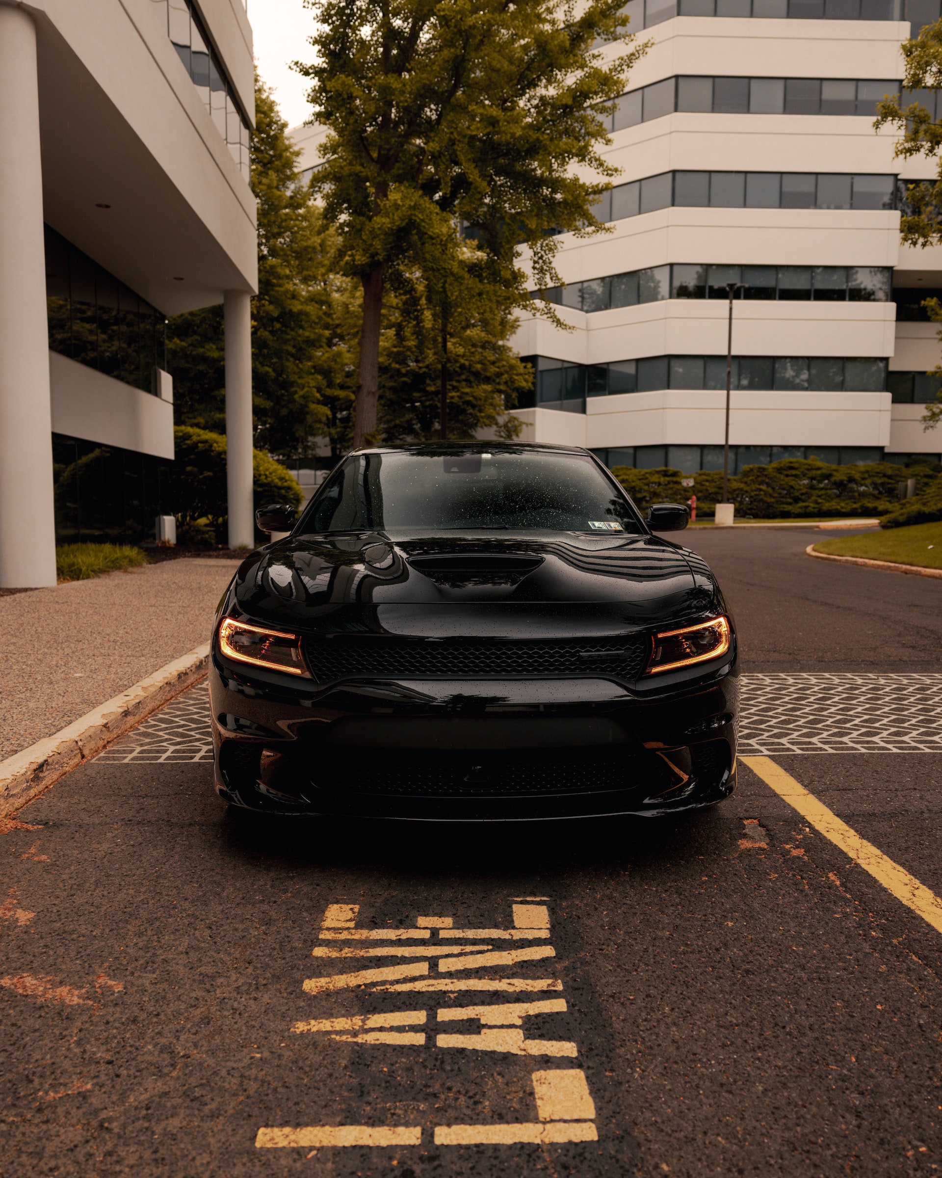 black car